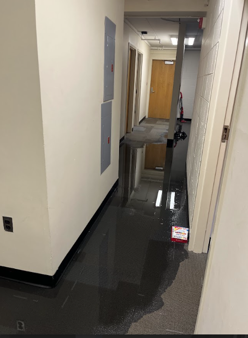 Ziv flooded floor