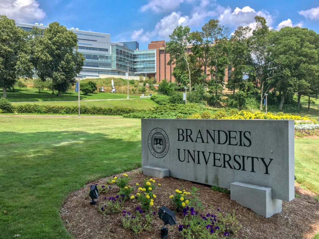 Brandeis Sign